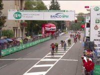 colbrelli bernocchi 2017