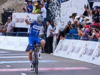 alaphilippe