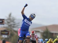 alaphilippe