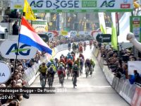 driedaagse