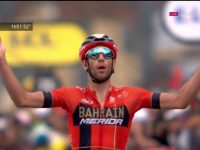 nibali