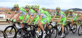 Bardiani-Csf