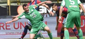 Bologna-Avellino playoff: news e probabili formazioni