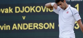 djokovic-anderson