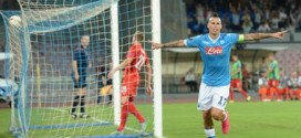 Hamsik