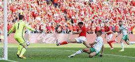 Autorete McAuley Galles-Irlanda del Nord Euro 2016