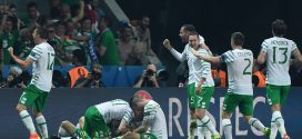 Irlanda esultanza contro la Nazionale a Euro 2016