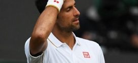 djokovic