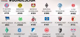 Bundesliga 2016-2017 logo