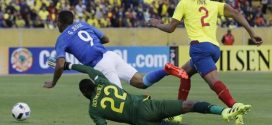 Gabriel Jesus Ecuador-Brasile Qual. Sudamerica Russia 18, foto Ap