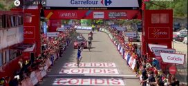 alaphilippe vuelta