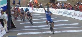 alaphilippe