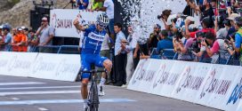 alaphilippe