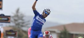 alaphilippe