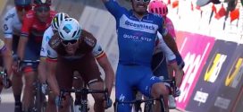 alaphilippe