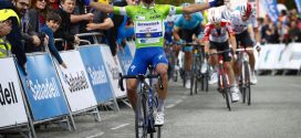 alaphilippe