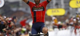 nibali