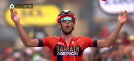 nibali