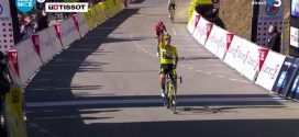 roglic