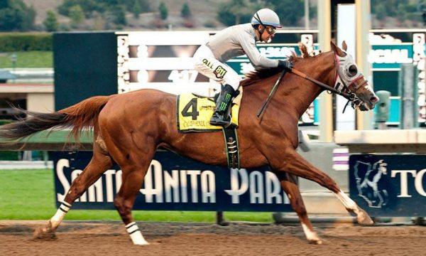 Le Meraviglie della Velocità: I segreti dei Campioni equestri