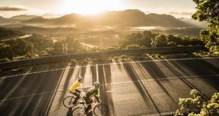 Le Chiavi del Successo nel Ciclismo su Strada