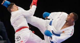 I Segreti dei Sistemi di Punteggio negli Sport da Combattimento