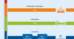 Temperature Ideali per Ottimizzare le Performance Fisiche