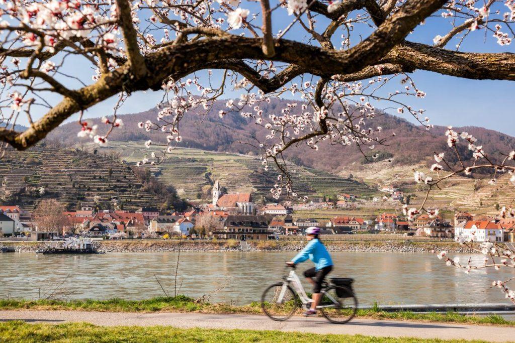 Le Piste Ciclabili Iconiche e il Loro Ruolo nella Storia del Cicloturismo