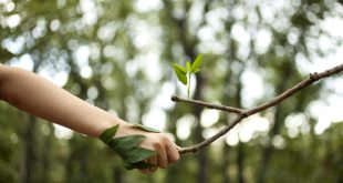 Uomo e Natura: Le Sfide Estreme nello Sport Estremo