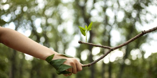 Uomo e Natura: Le Sfide Estreme nello Sport Estremo