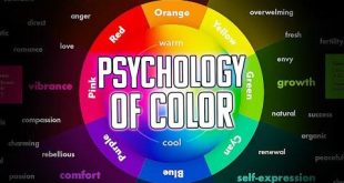 Il Potere dei Colori: Psicologia delle Divise Sportive