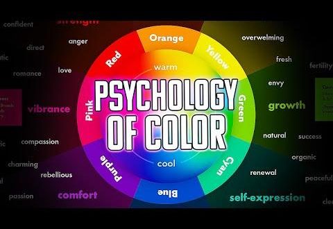 Il Potere dei Colori: Psicologia delle Divise Sportive