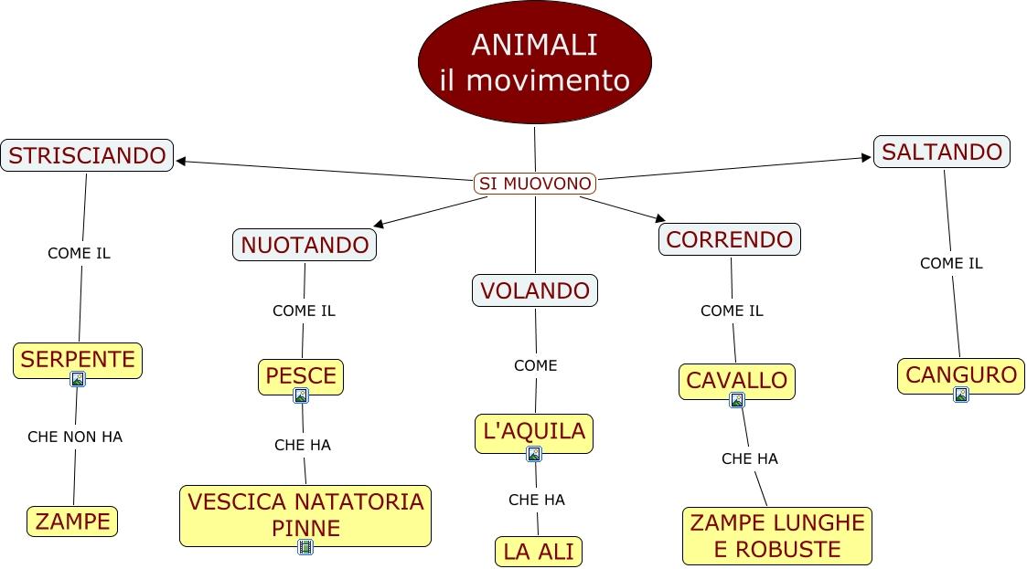 esplorare il potere dei Movimenti Animali nel fitness Naturale