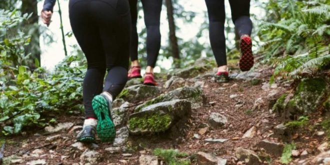 Guida alla Corsa su Sentieri: Tecniche e Attrezzature Essenziali