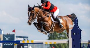 Sport Equestri: Disciplina, Affinità e Gare Olimpiche